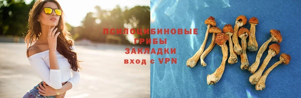 СК Магас