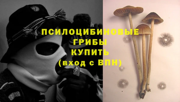 бошки Медвежьегорск