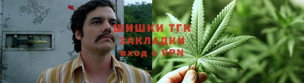 прущие грибы Артём