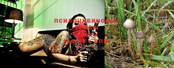 хмурый Майский