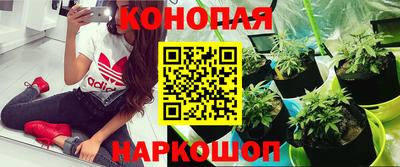 прущие грибы Кинель