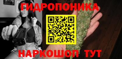 прущие грибы Кинель