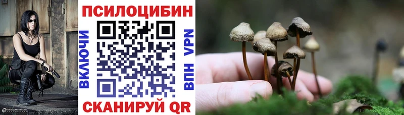 Галлюциногенные грибы прущие грибы  Моздок 