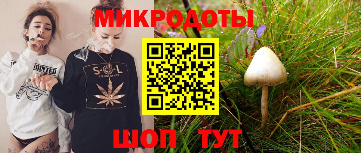 Галлюциногенные грибы Psilocybe  Вход с VPN  Галлюциногенные грибы ЛСД  Моздок 