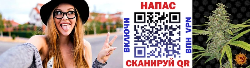где купить наркоту  Моздок  Канабис SATIVA & INDICA 